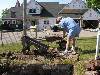images/Oil_House/_thb_3 - Ricking sifting.jpg